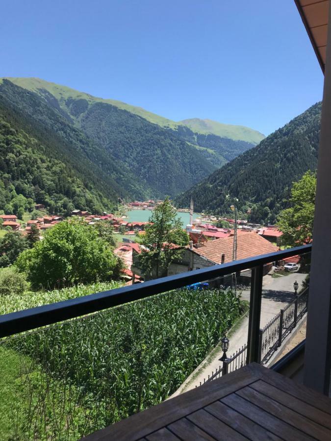 Horio Villa Uzungöl Dış mekan fotoğraf